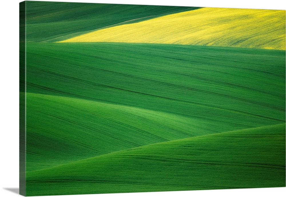 Europe, Czech Republic. Moravia wheat and canola fields. Credit: Jim Nilsen