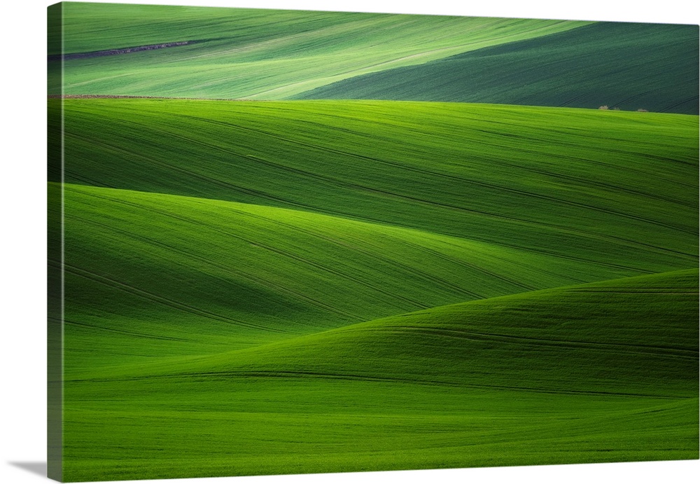 Europe, Czech Republic. Moravia wheat fields. Credit: Jim Nilsen