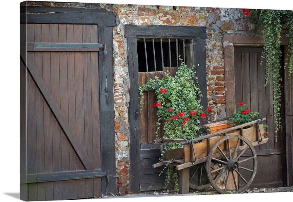 Europe, France, Alsace province, Colmar. Rustic wooden wagon in front of brick building draped with plants.