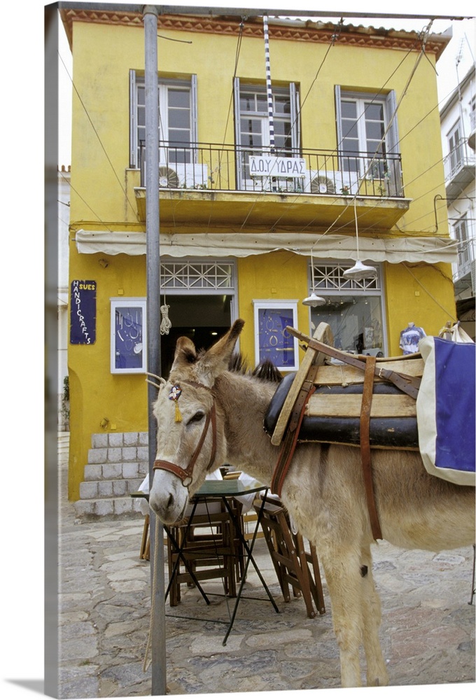 Europe, Greece, Hydra. Donkey in front of yellow building