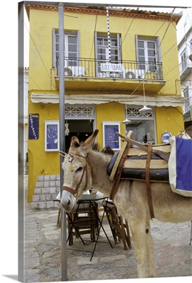 Europe, Greece, Hydra, Donkey In Front Of Yellow Building