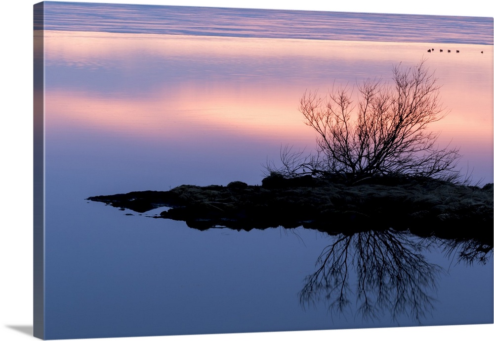 Europe, Iceland, North Iceland, near Lake Myvatn, Reykjahlio. A colorful sunset is reflected in a tundra pond.