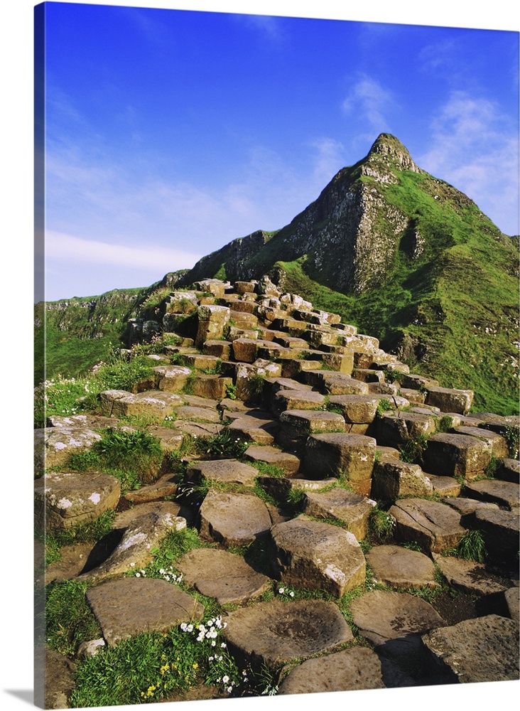 Europe, Ireland, County Antrim. Basalt columns at Giant's Causeway.