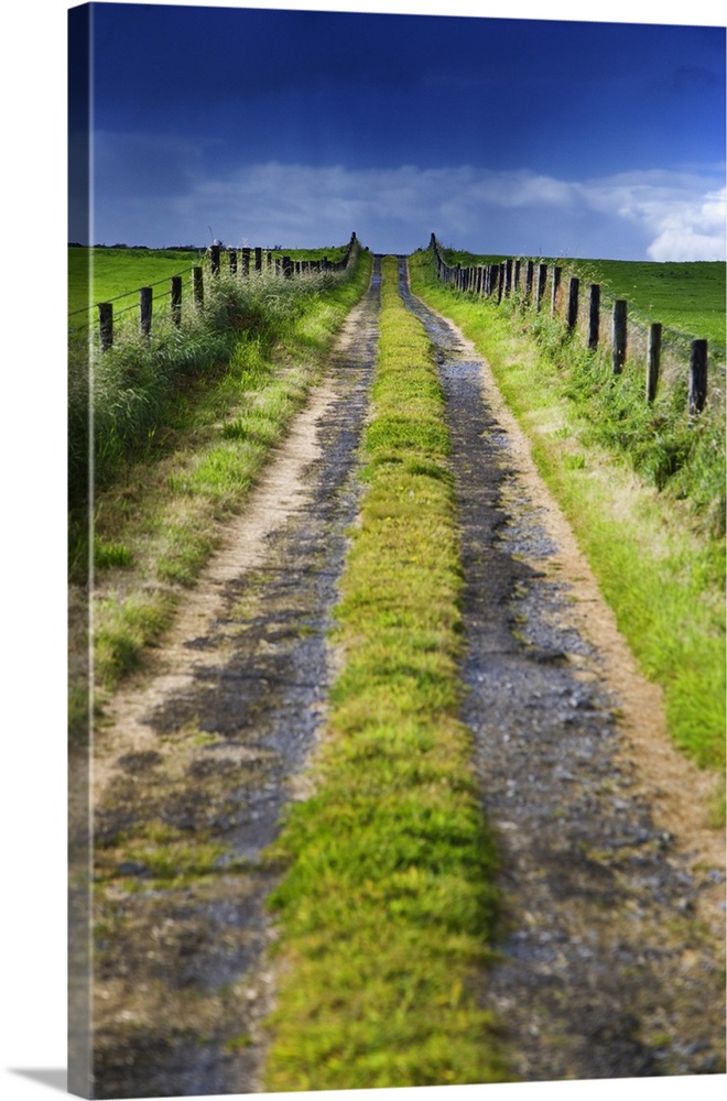 Europe, Ireland. Dirt road in County Roscommon.