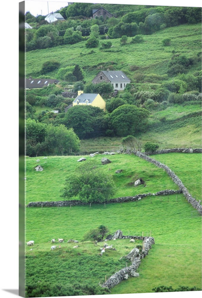 Europe, Ireland, Kerry County, Ring of Kerry.