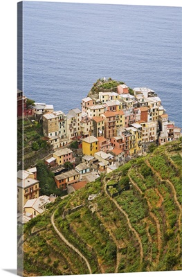 Europe, Italy, Manarola Overview Of Town