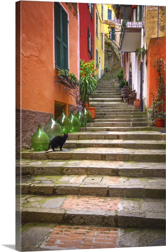 Europe, Italy, Monterosso. Cat on long stairway. Credit: Jim Nilsen