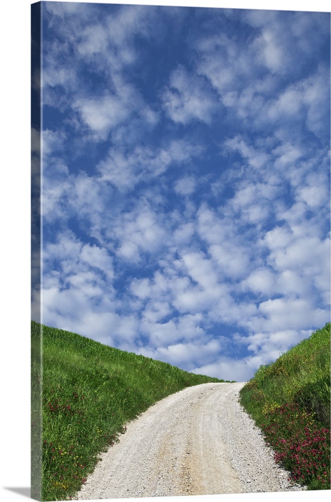 Europe, Italy, Tuscany. Dirt road to villa.