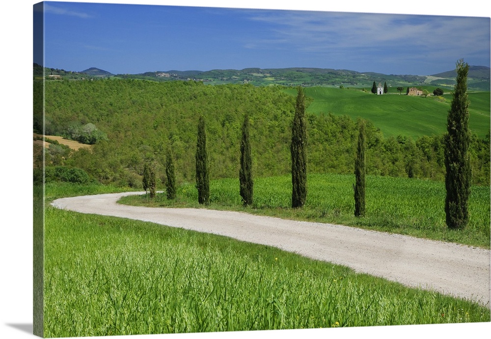 Europe, Italy, Tuscany. Dirt road with Vitaleta Chapel in distance.