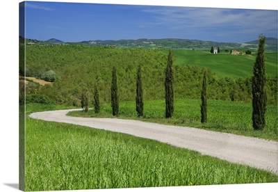 Europe, Italy, Tuscany Dirt Road With Vitaleta Chapel In Distance