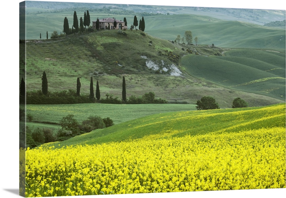 Europe, Italy, Tuscany. Landscape with villa.