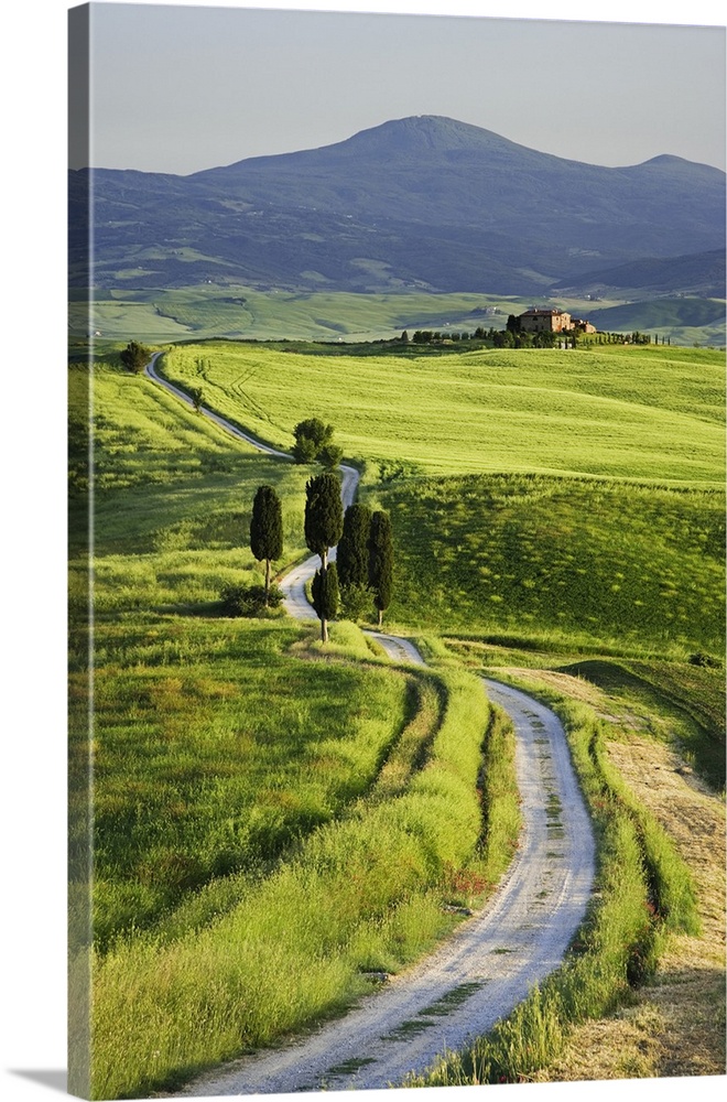 Europe, Italy, Tuscany. Landscape with villa.