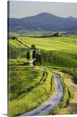 Europe, Italy, Tuscany Landscape With Villa