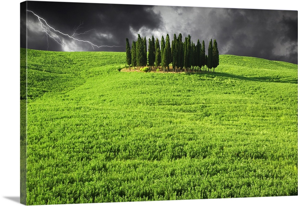 Europe, Italy, Tuscany. Lightning behind cypress trees on hill.