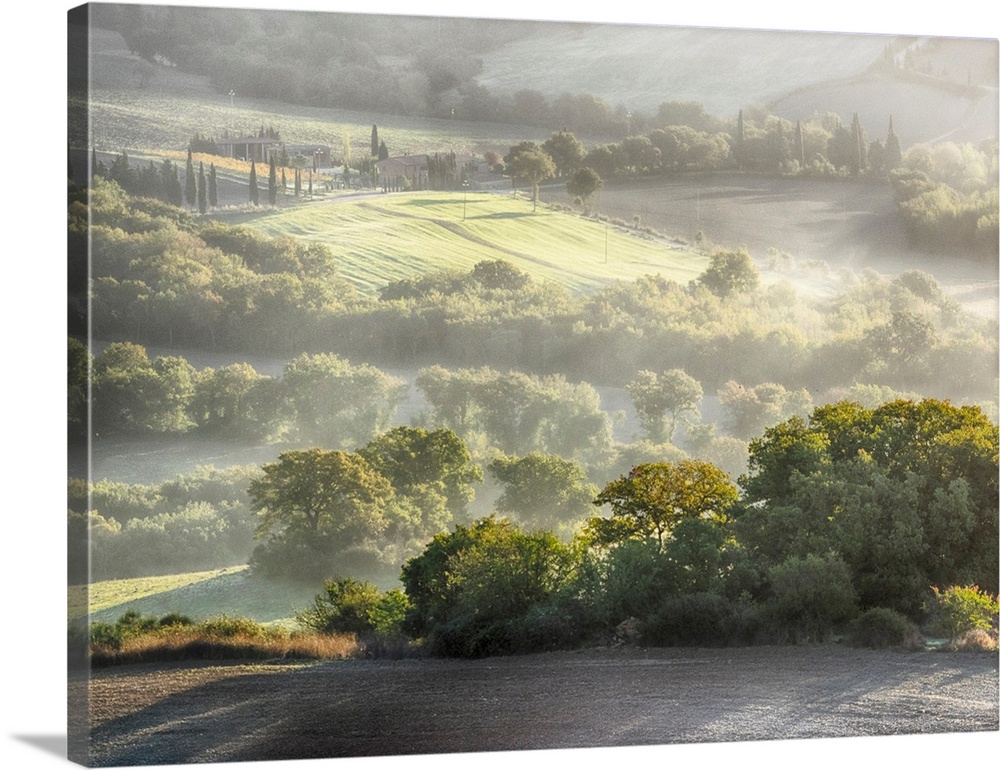 Europe, Italy, Tuscany, Morning light over the fields of Winter Wheat above the Tuscan Landscape.