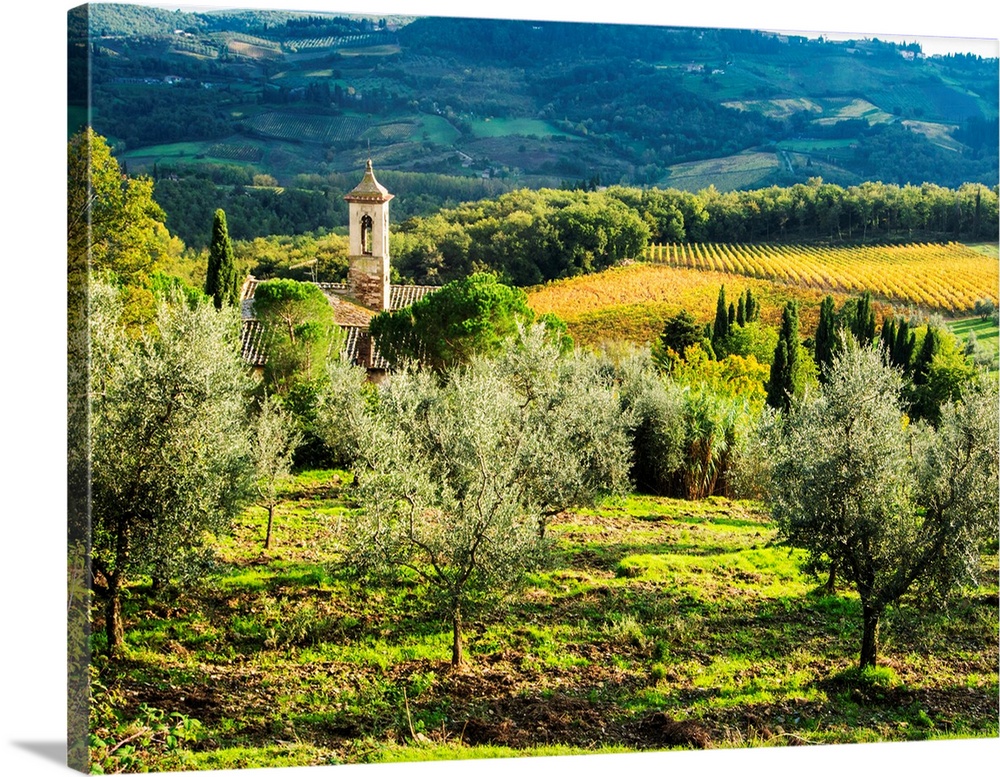 Europe, Italy, Tuscany, Pieve di Santa Maria Novella Near Radda in Chianti.