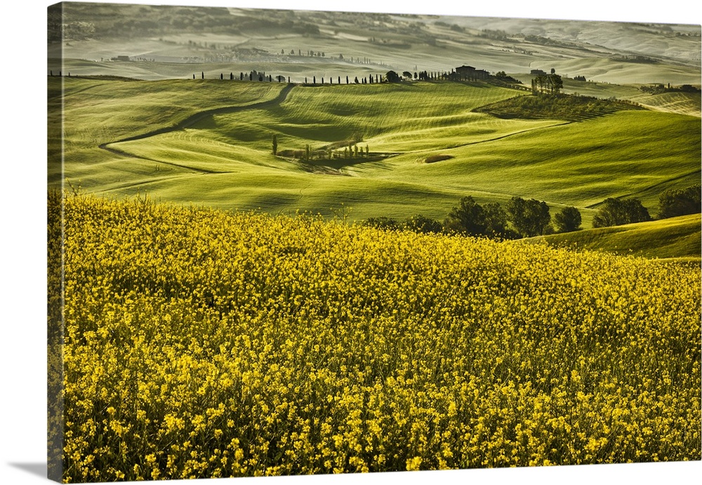 Europe, Italy, Tuscany, Val d'Orcia