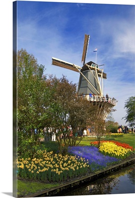 Europe, Netherlands, Holland, Lisse, Keukenhof Gardens in the spring