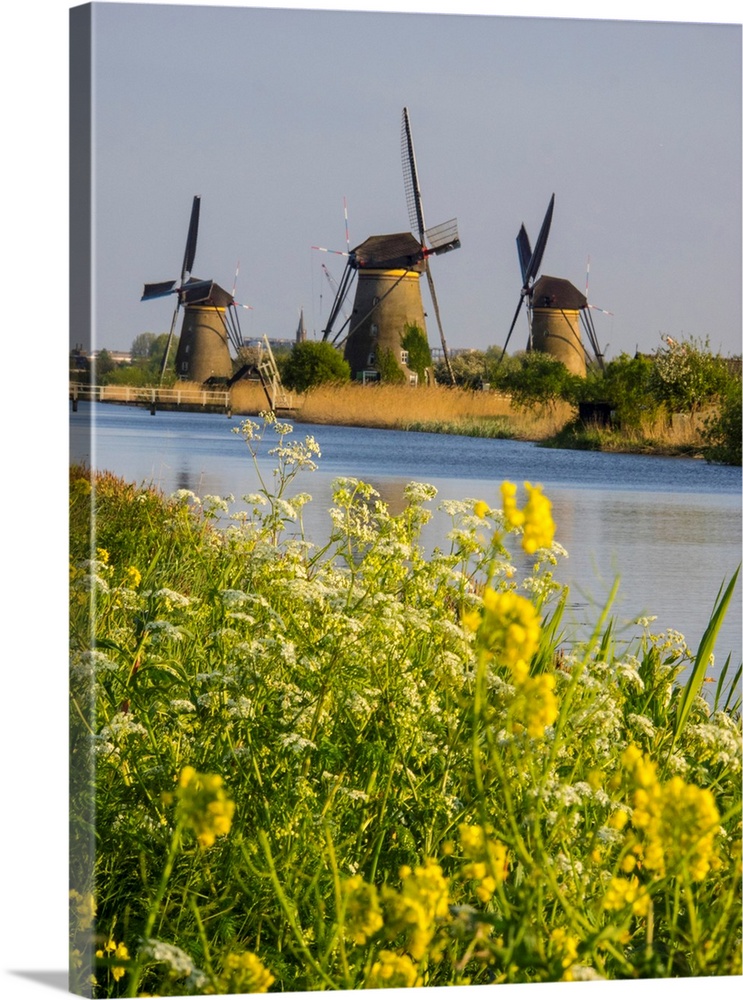 Europe, Netherleands, Kinderdyk, Windmills with evening light along the canals of Kinderdijk.