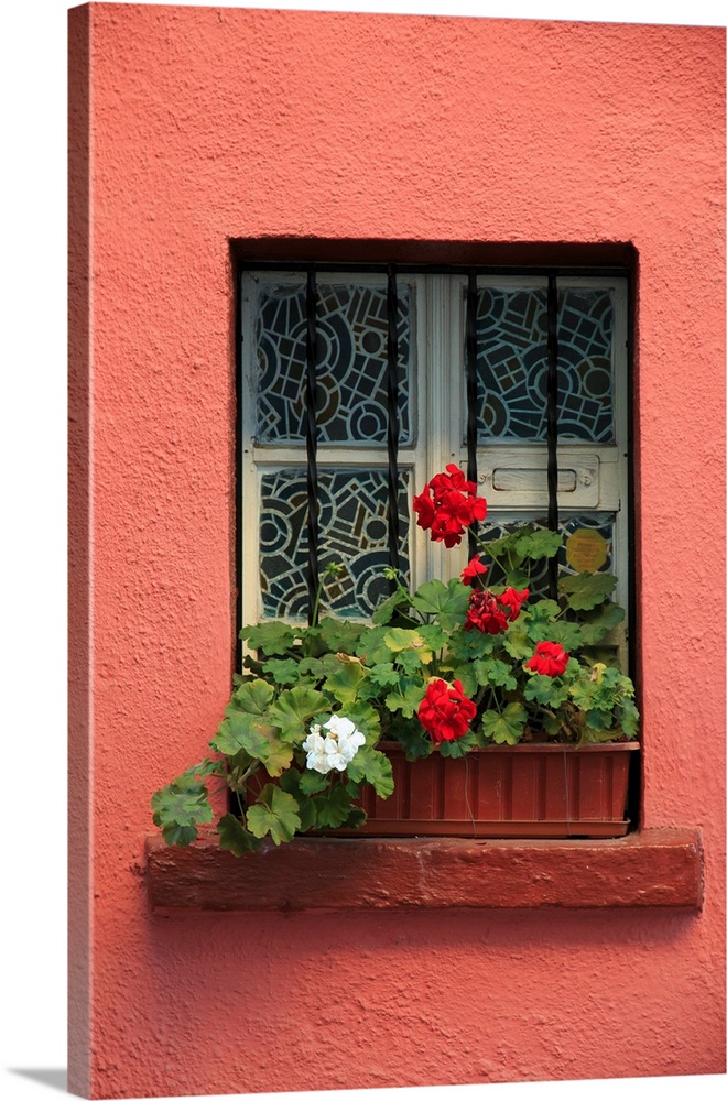 Europe, Romania, Sighisoara, residential window in old town. Flowers in window.