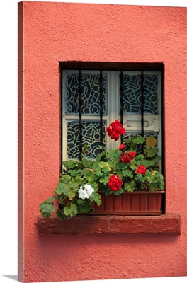 Europe, Romania, Sighisoara, Residential Window In Old Town, Flowers In Window