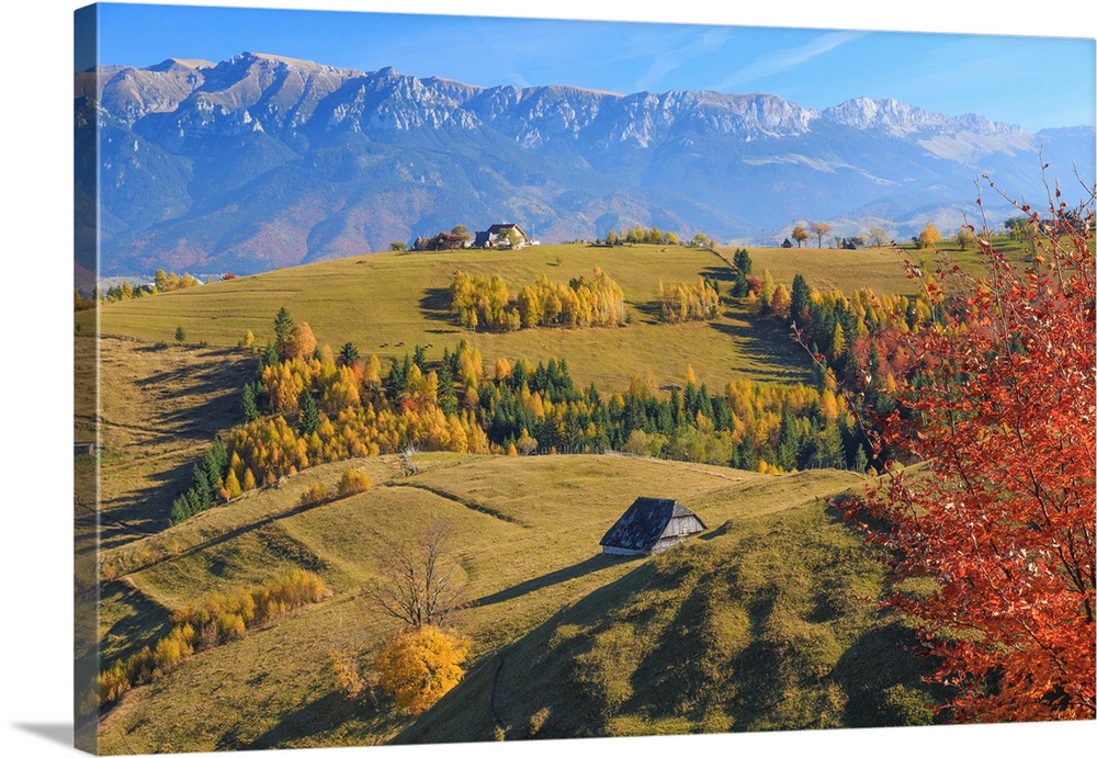 Europe, Romania, Transylvania, Carpathian Mountains, Magura, Piatra Craiului National Park.