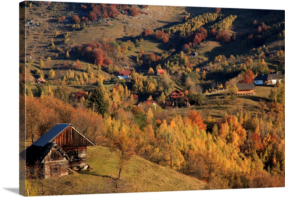 Europe, Romania, Transylvania, Carpathian Mountains, Magura, Piatra Craiului National Park. Fall Colors. Hillside, traditi...