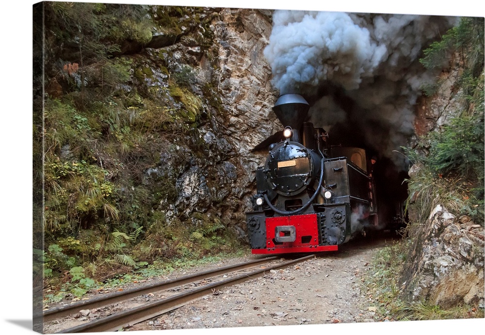 Europe, Romania, Viseu de Sus. Carpathian Forest Steam train. Vaser Valley Railway. Wood-burning, steam locomotive. Narrow...