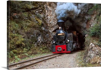 Europe, Romania, Viseu De Sus, Carpathian Forest Steam Train, Steam Locomotive