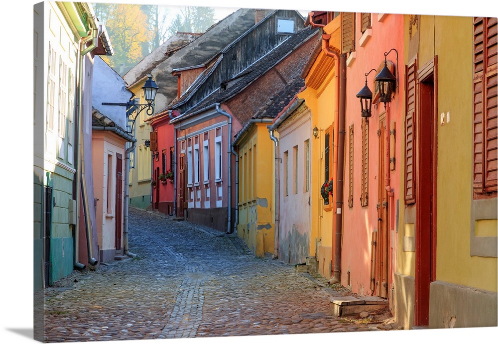 Europe, Transylvania, Romania, Mures County, Sighisoara, cobblestone residential street of colorful houses in village. UNE...