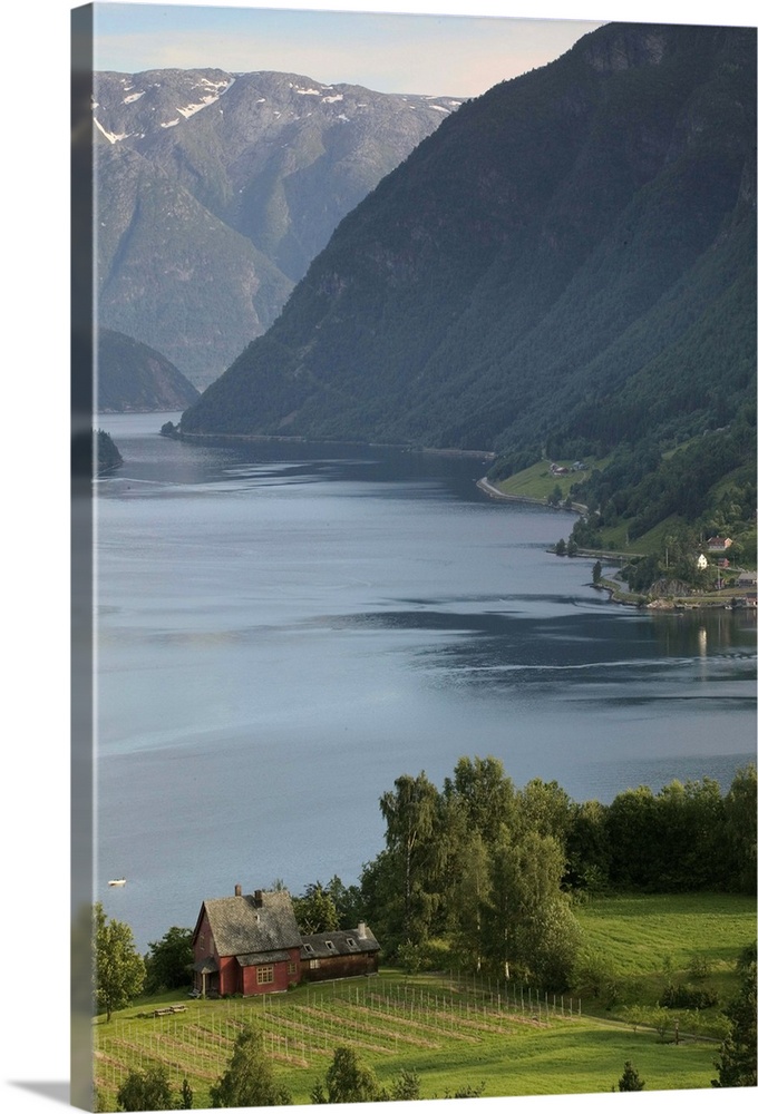 evening light settles upon Ulvik and the shores of Hardanger Fjord, Norway