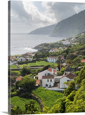 Faja Dos Vimes, Sao Jorge Island In The Azores, An Autonomous Region Of Portugal
