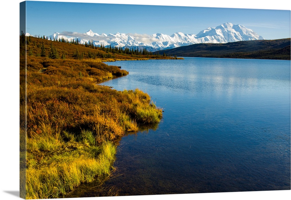 USA, Alaska, Denali National Park, fall colors, Denali.