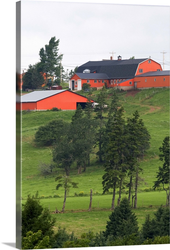 Farm and red barn on a hill at New Glasgow, Prince Edward Island, Canada...canada, canadian, prince edward island, new gla...