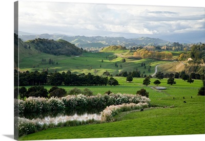 Farmland, Kawhatau Valley, Rangitikei, North Island, New Zealand
