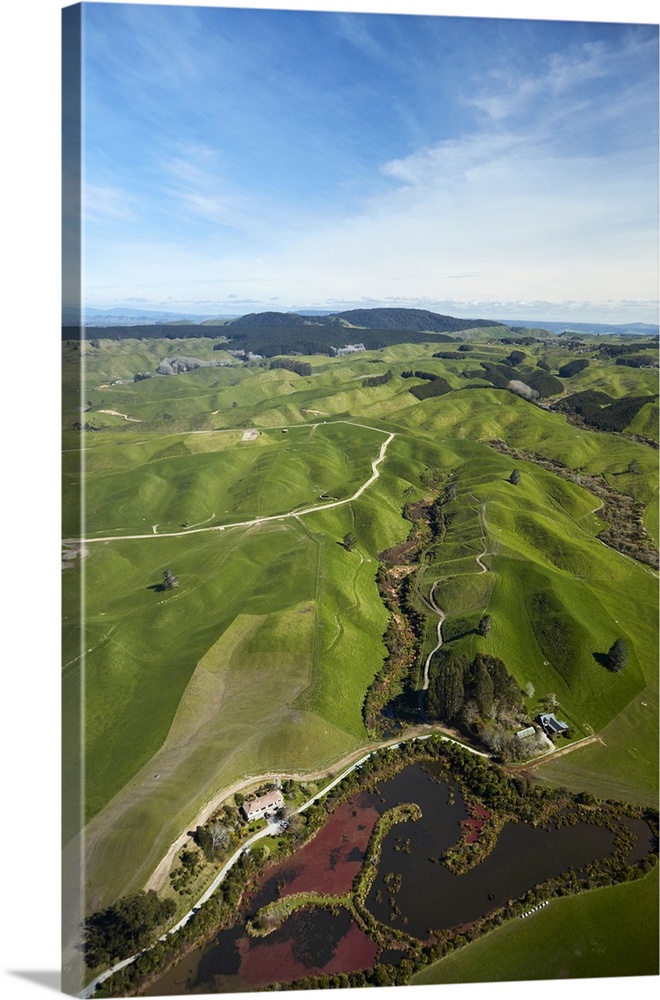 Farmland near Rotorua, North Island, New Zealand