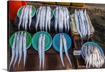 Fish for sale in the fish market of Busan, South Korea