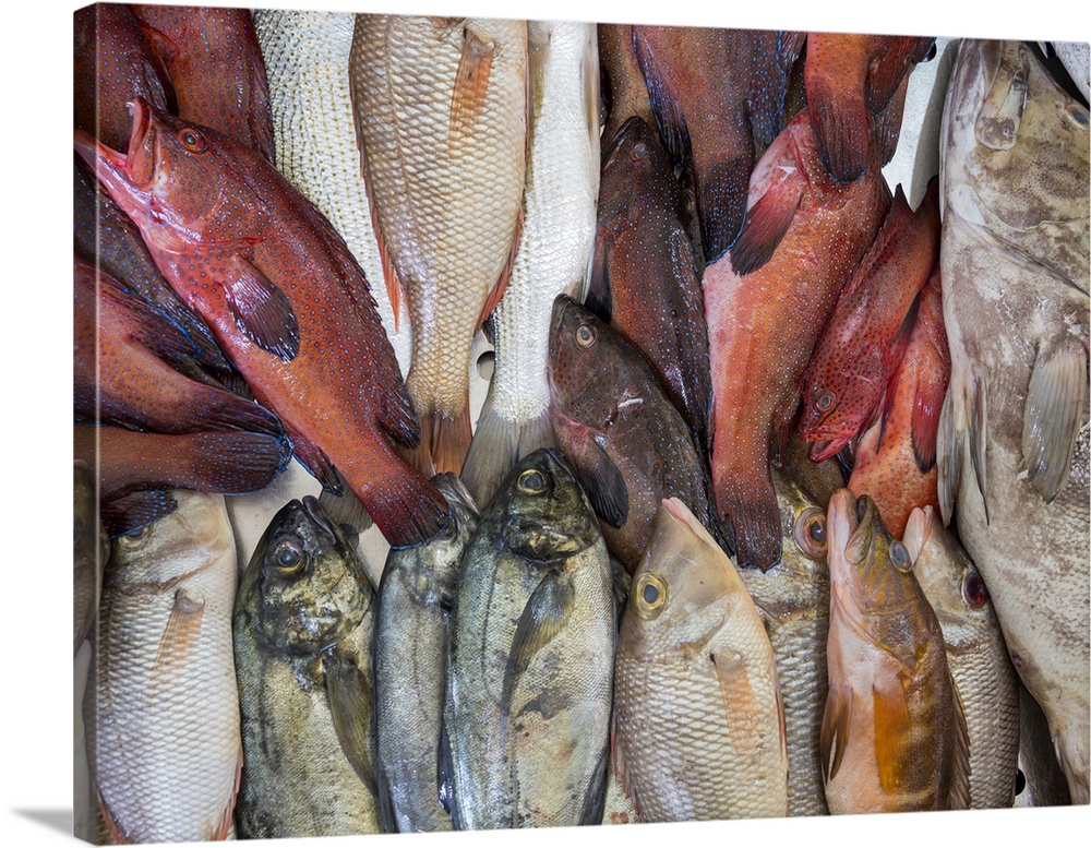 Fish market in Mercado Municipal di Praia in Plato. The capital Praia on Santiago Island (Ilha de Santiago), Cape Verde in...