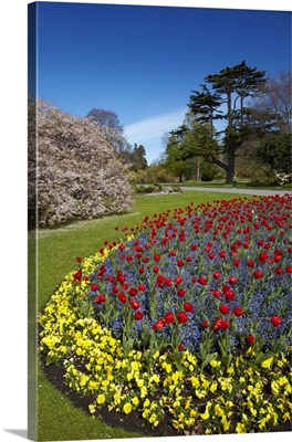 Flower bed, Botanic Gardens, Hagley Park, Christchurch, Canterbury, New Zealand