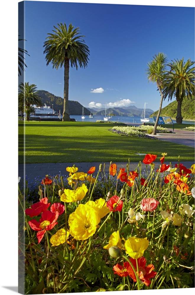Flowers and palm trees, Foreshore Reserve, Picton, Marlborough Sounds, South Island, New Zealand.