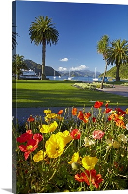 Flowers and palm trees, Foreshore Reserve, Picton, Marlborough Sounds, New Zealand