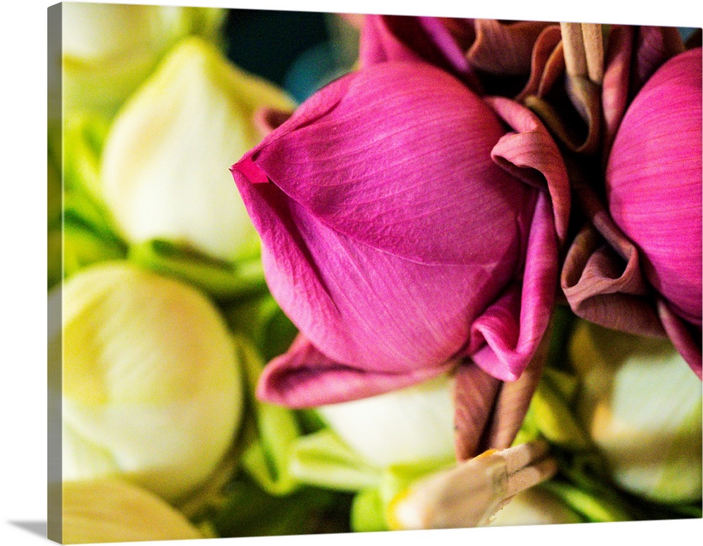 Flowers at the Thai Market Place in Chiang Mai, Thailand.