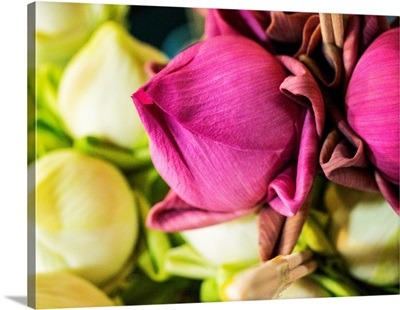 Flowers At The Thai Market Place