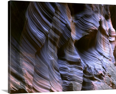 Fluted sandstone canyon walls, Paria River drainage, Colorado Plateau