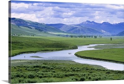 Fly fishing in the Lamar River in Yellowstone National Park