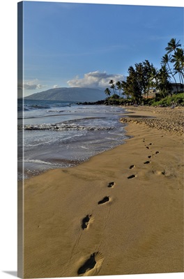 Footprints In The Sand Evening Light Along Kamaole Beach Park II, Kihei Maui, Hawaii