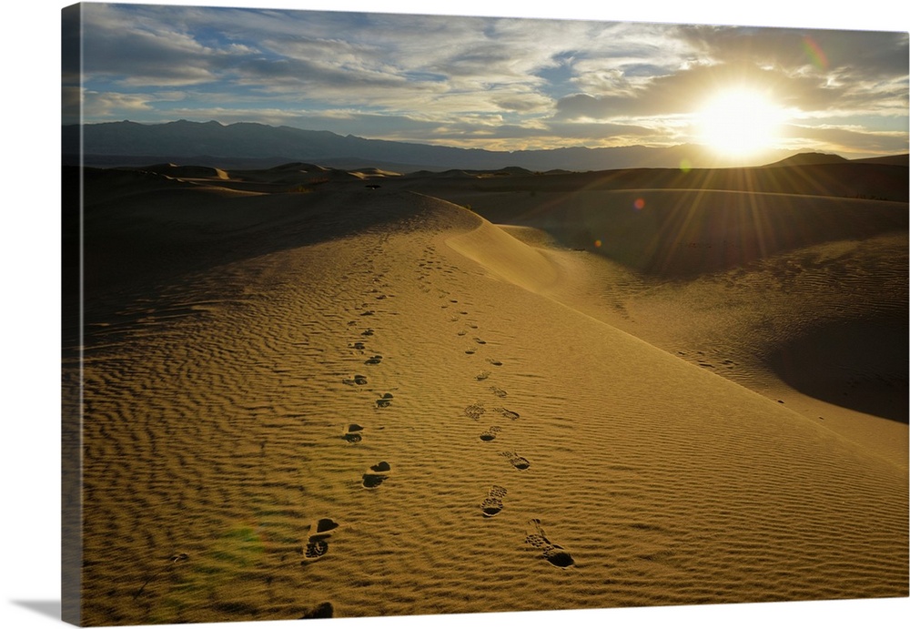 USA, California, Death Valley, Footprints on the dunes at the Mesquite Flat Sand Dunes.