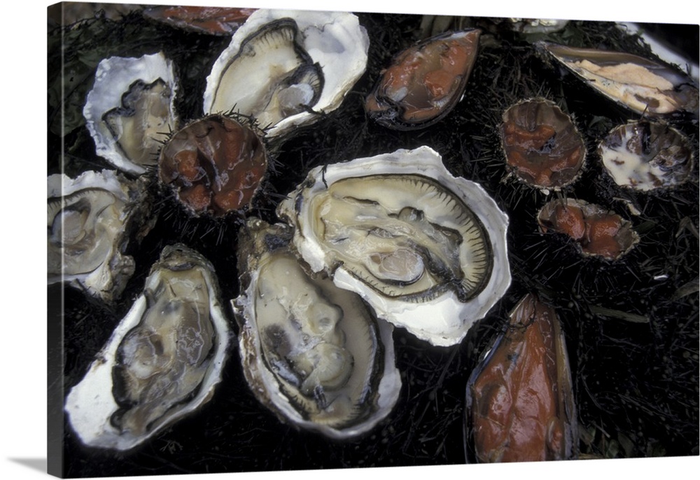 Europe, France, Aix En Provence. Oysters and shellfish in outdoor market