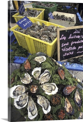 France, Aix En Provence, Oysters and shellfish in outdoor market