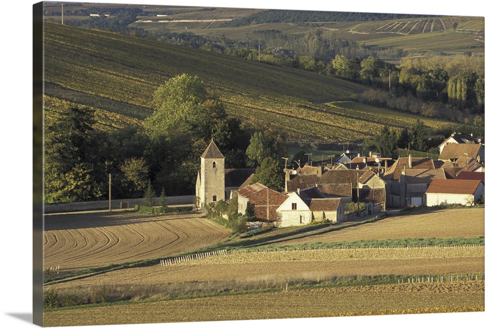 Europe, France, Burgundy, Milly, Yonne.Vineyards of Chablis